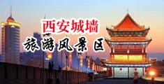 骚逼操你骚贷掰开逼中国陕西-西安城墙旅游风景区